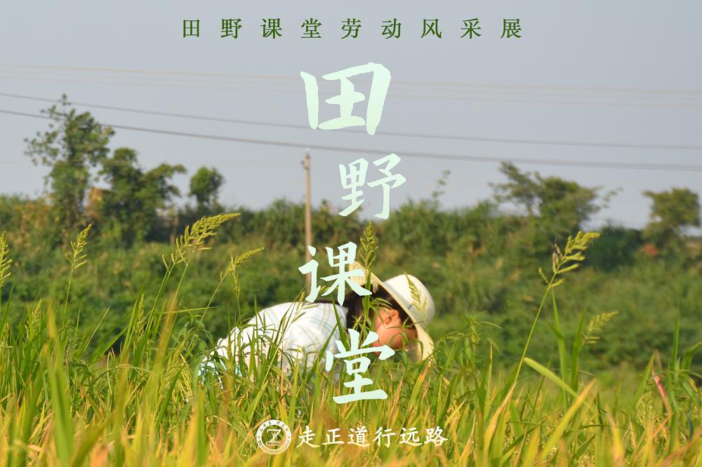 活动作品精选 | “奋斗正当时 劳动最美丽”之『田野课堂』